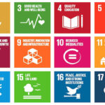 Africa and the Sustainable Development Goals (SDGs)